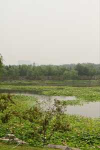 一畝園公園重開