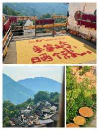 婺源旅遊攻略｜收好呢份精簡版懶人包！