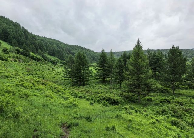 夏日避暑天花板！阿爾山 20℃嘅清涼秘境