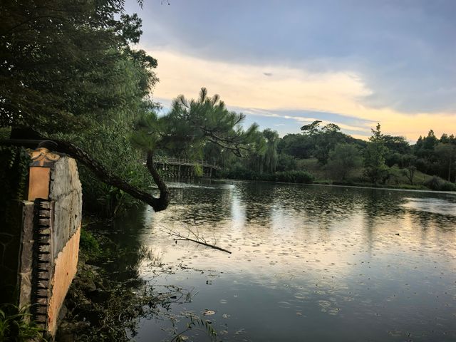 寧波文藝青年必去茶空間