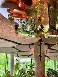 Banyan Tree in Singapore Rainforest Resort😍♥️