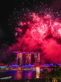 為咗呢張相，我特登飛咗去新加坡