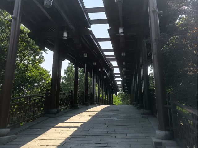 去咗4次梅花洲，終於玩到明！