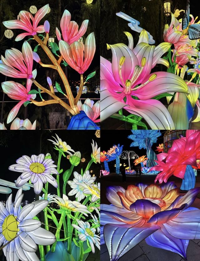 阿詩瑪代表雲南歡迎你