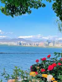 等晚風把洱海吹成一塊碎鑽，我哋就出發