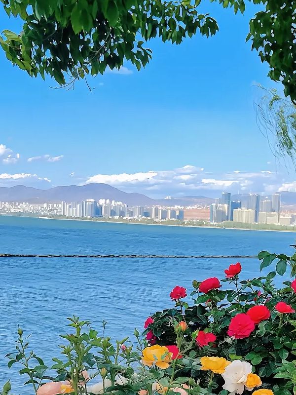 等晚風把洱海吹成一塊碎鑽，我哋就出發