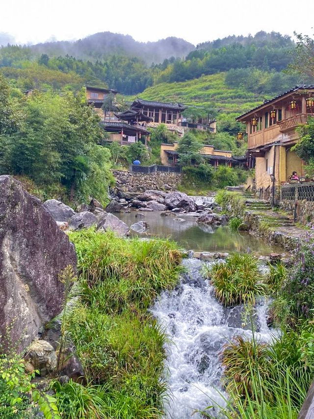 閩東群山間的「雲上小城」，均溫僅22℃！