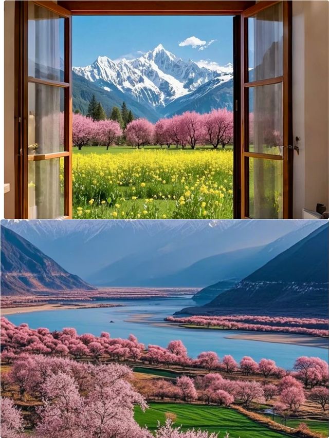 《別處是人海，林芝是桃源》