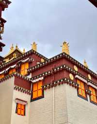 麗江-香格里拉一日遊>一場洗滌心靈的旅程。