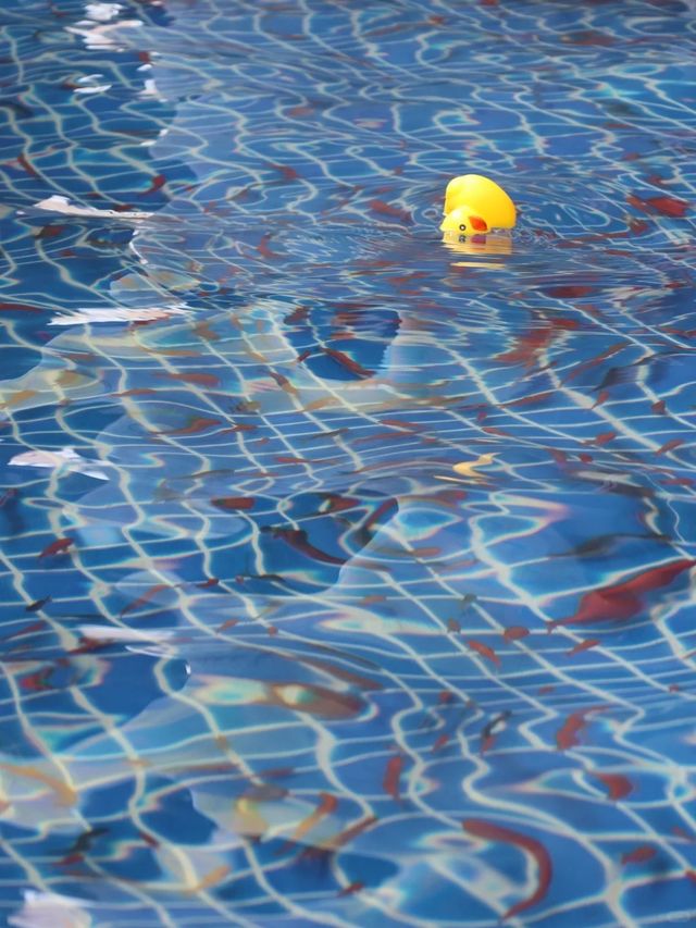 夏天總有新玩法！撈魚、挖沙、戲水...