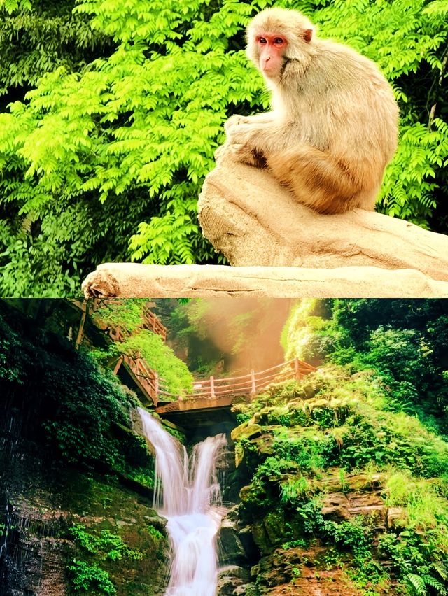 寶貝們快入！超正碧峰峽旅遊攻略嚟啦