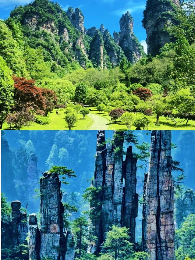 勇闖張家界國家森林公園，呢份攻略超「上頭」！
