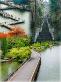 雨季武漢東湖漫遊指南