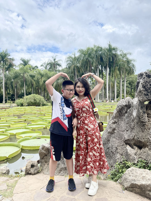西雙版納day3曼聽公園+中科院植物園