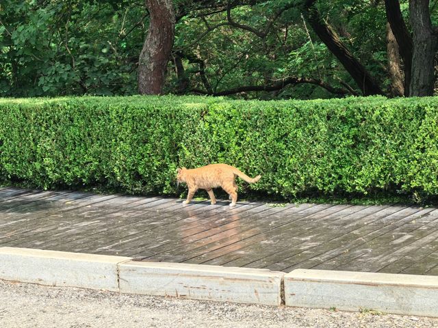 海之韻公園 棒棰島 環境超級好