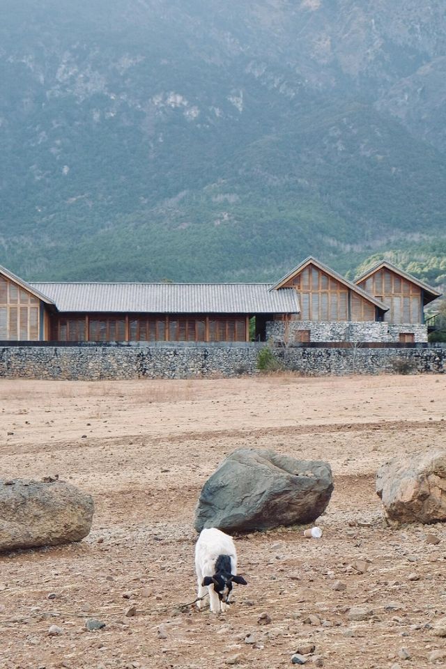 麗江住哪裡方便去各個景點