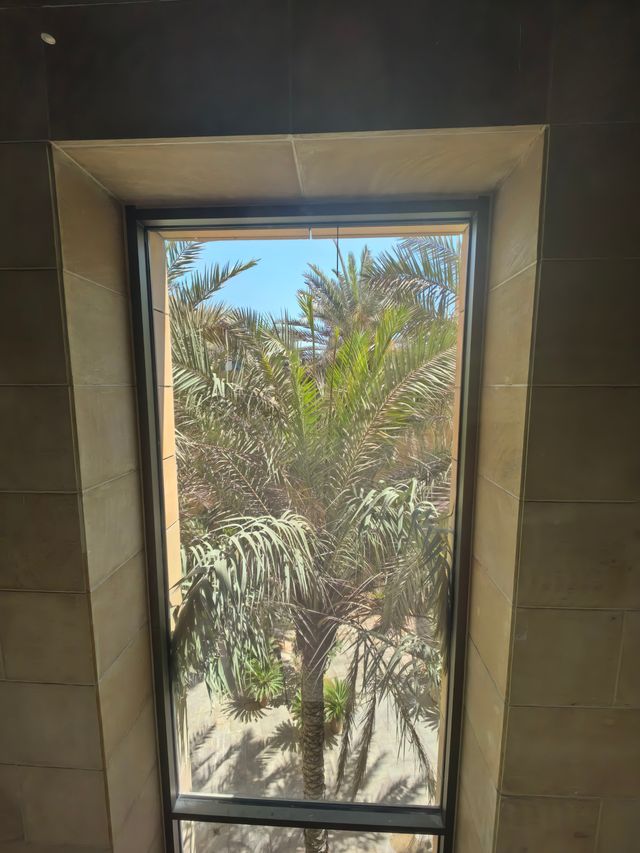 走進沙特國家博物館