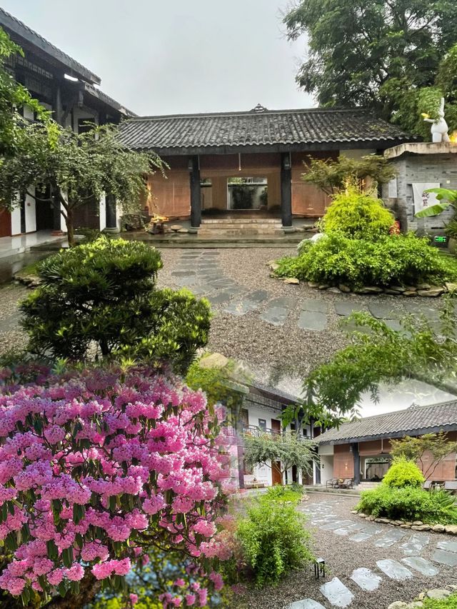 不差錢版｜峨眉山親子3天2晚不費媽躺玩全攻略