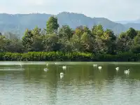 清邁記憶 Ep2