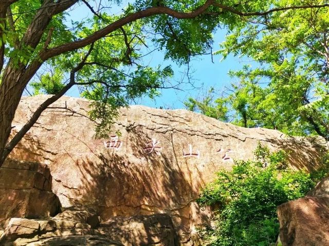 大連西尖山公園：0元解鎖山海全景的城芯秘境