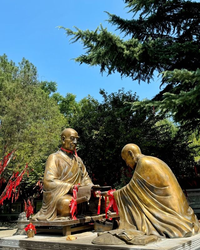 西安‖青龍寺|一花一世界，一步一天涯
