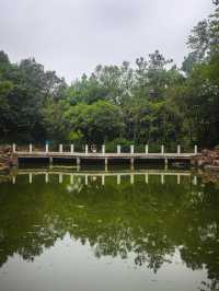 江南香山 | 鹿女湖畔，遺世仙蹤