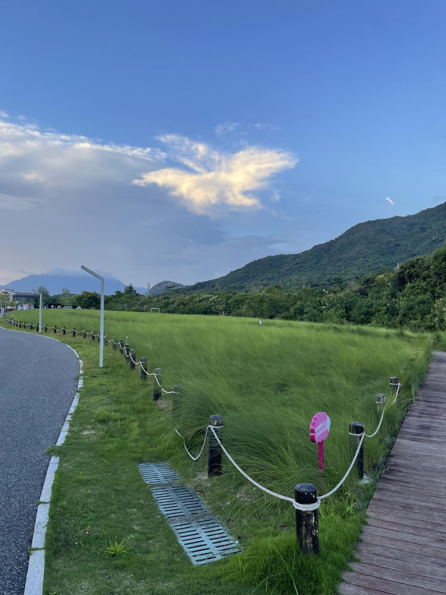 深圳最美濕地公園徒步攻略