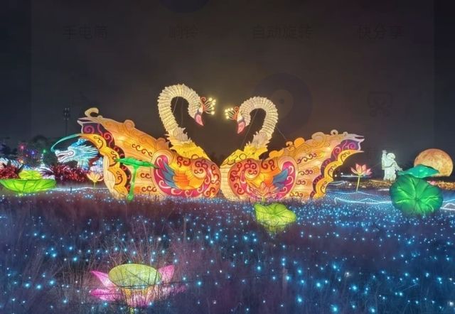 音樂百花谷：邂逅花海萌寵，共赴夜場夢幻之約