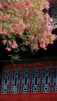 園愛紫薇：清溪園