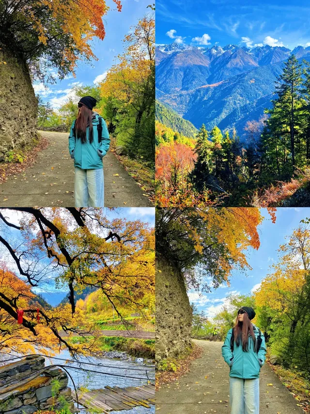 10月賞秋米亞羅彩林徒步一日遊快衝