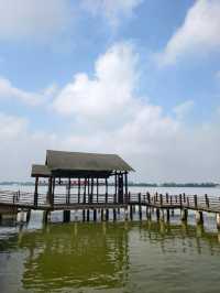 泰州溱湖濕地公園,真實體驗及攻略解析