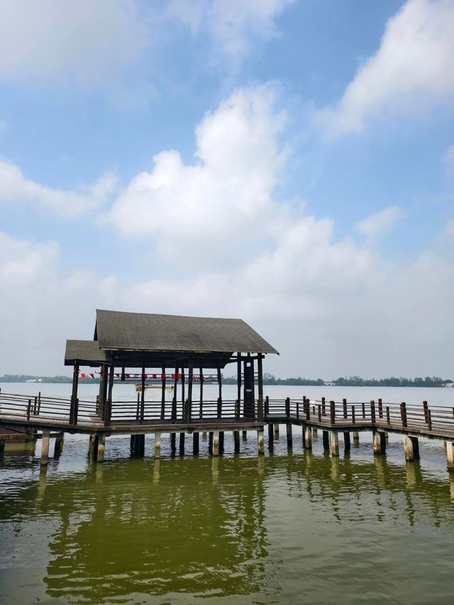 泰州溱湖濕地公園,真實體驗及攻略解析 泰州溱湖濕地公園,真實體驗及攻略解析