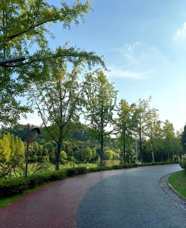 跑遍長沙公園⑥|尖山湖公園:高新區打工人的週末活力寶藏地 跑遍長沙公園⑥|尖山湖公園:高新區打工人的週末活力寶藏地