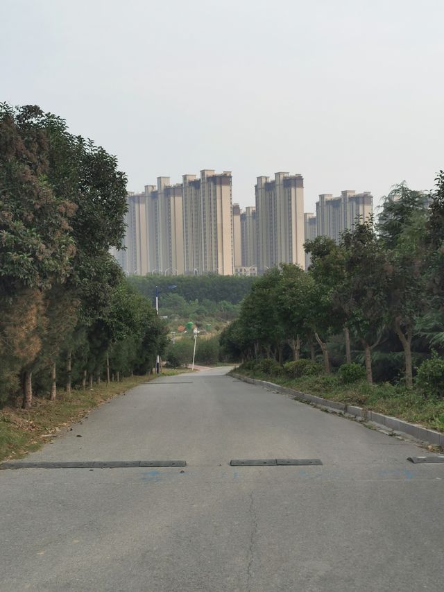 【河南省濮陽市】龍山公園。