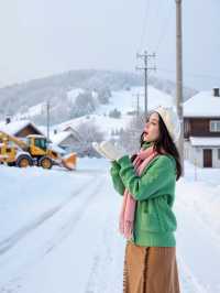 阿爾山秋色絕了！在大興安嶺遇見童話世界