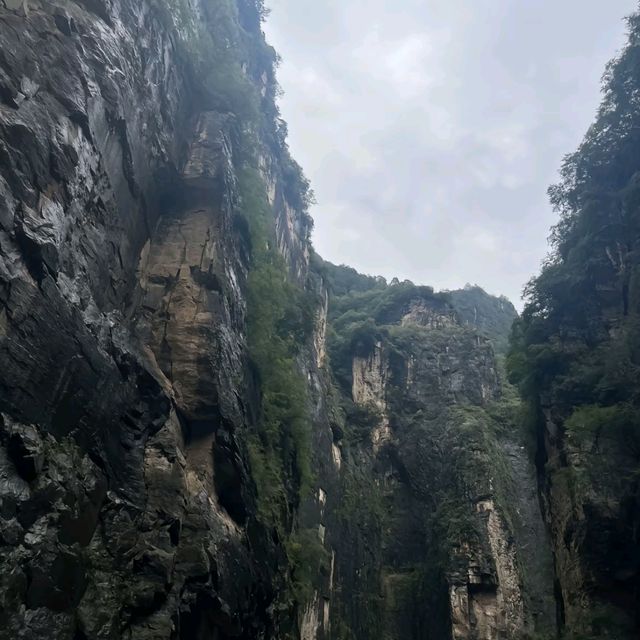 唯一破產的5A景區……