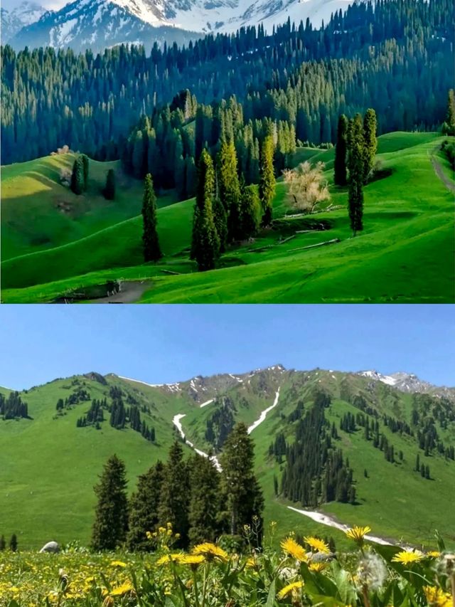 家人們 今天我又找到一個好地方了 希望你們來參觀 家人們 今天我又找到一個好地方了 希望你們來參觀