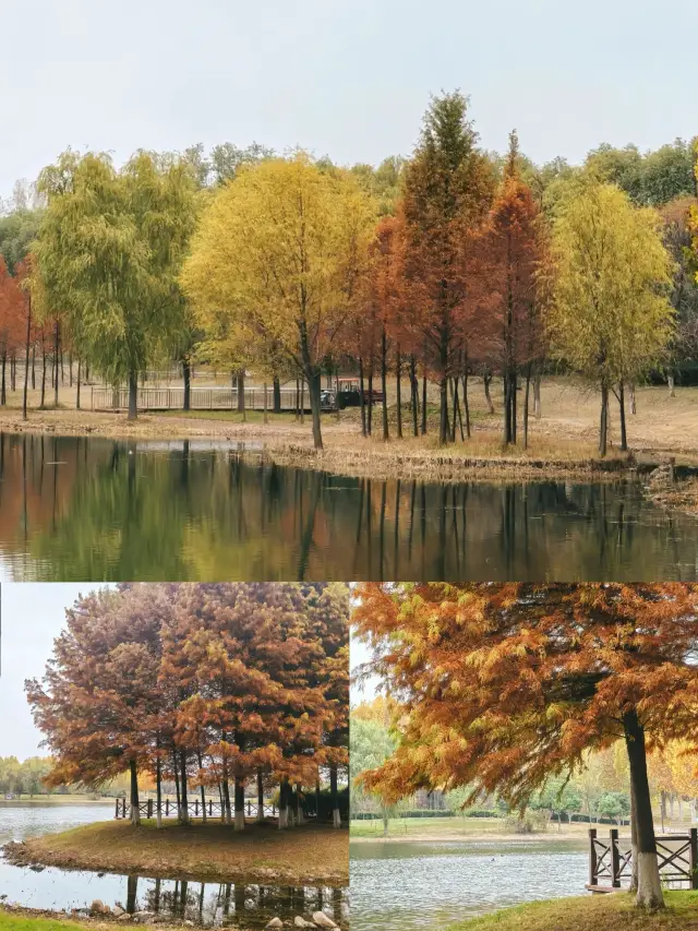 這裡不止有胖東來，還是絕密秋色打卡地！