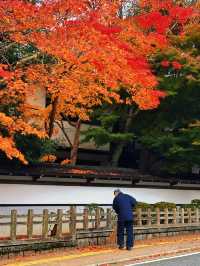 拈花一笑高野山