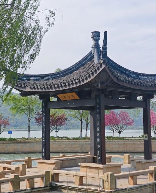 嘉興南北湖|江浙滬寶藏踏春好去處! 嘉興南北湖|江浙滬寶藏踏春好去處!