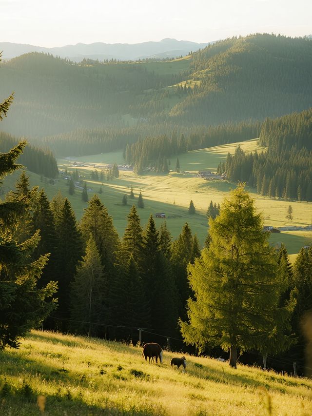 京郊2h飆到!烏蘭察布蘇木山秋景美到心顫 京郊2h飆到!烏蘭察布蘇木山秋景美到心顫
