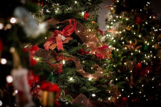 Balboa Park December Nights Celebration Kicks Off