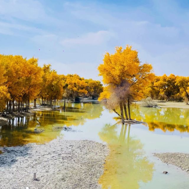 新疆胡楊林公園景區3天2夜5000元旅遊攻略