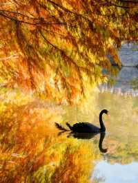 明孝陵2日遊攻略