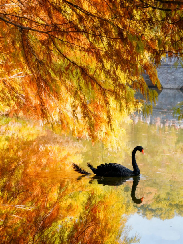 明孝陵2日遊攻略