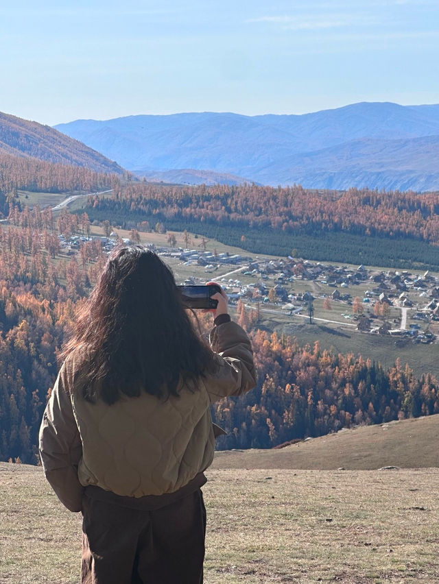 新疆喀納斯秋日童話遇見雪山松鼠的治癒時刻 新疆喀納斯秋日童話遇見雪山松鼠的治癒時刻