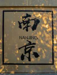 “오동나무 아름답다”라며 남경도시 가득 심었어요🍂