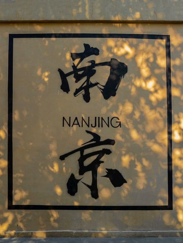 “오동나무 아름답다”라며 남경도시 가득 심었어요🍂