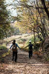 南京止馬嶺 秋季徒步出片指南