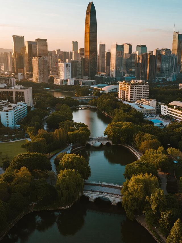 深圳中心公園親子遊地鐵直達！能待一天的寶藏地